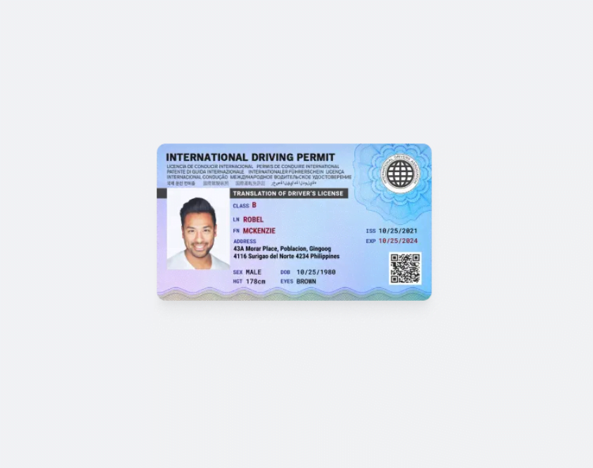 International Driving Permit - Screenshot 2023 04 30 at 10.13.53 PM