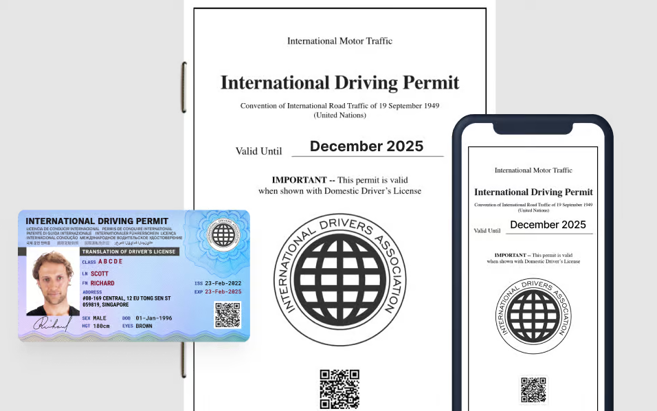 Home International Driving Permit   Brave JQjgcbBg0M 